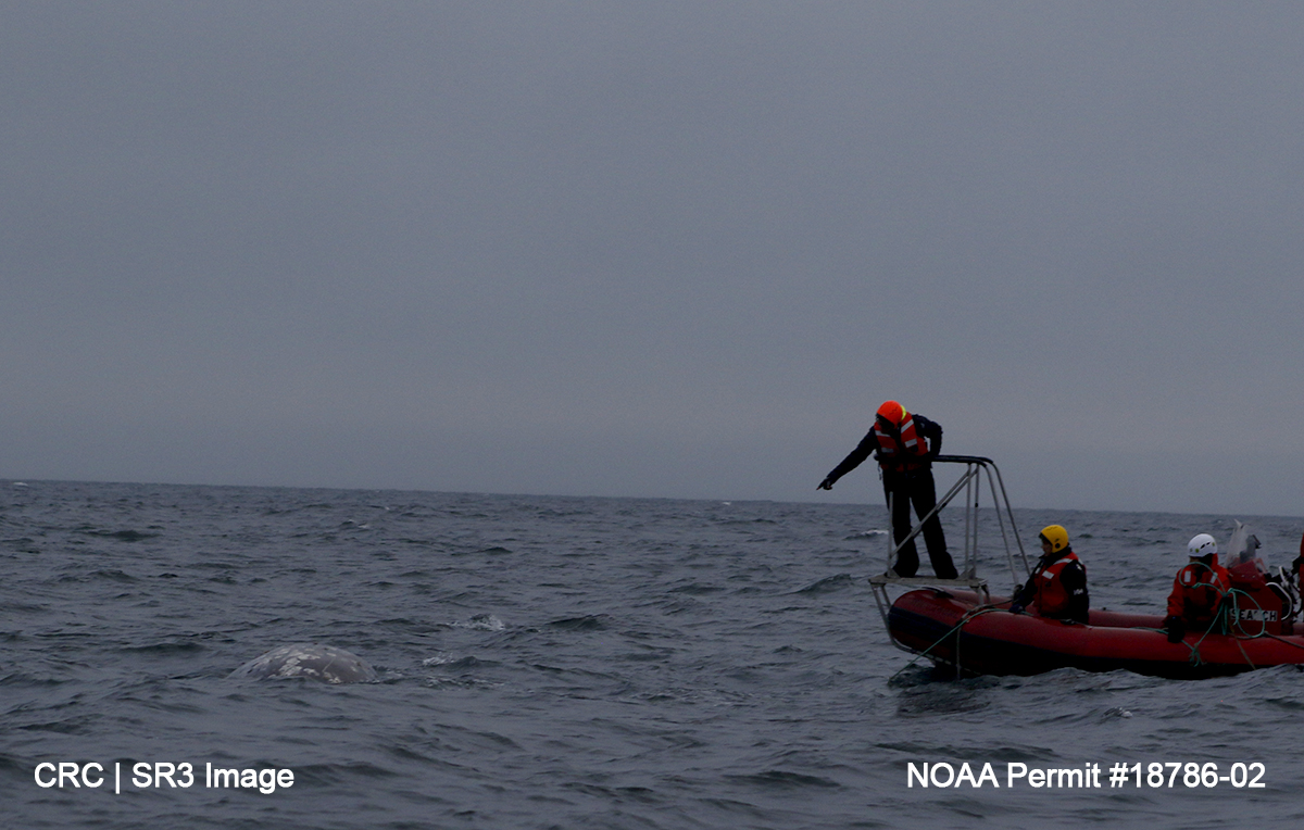 NOAA