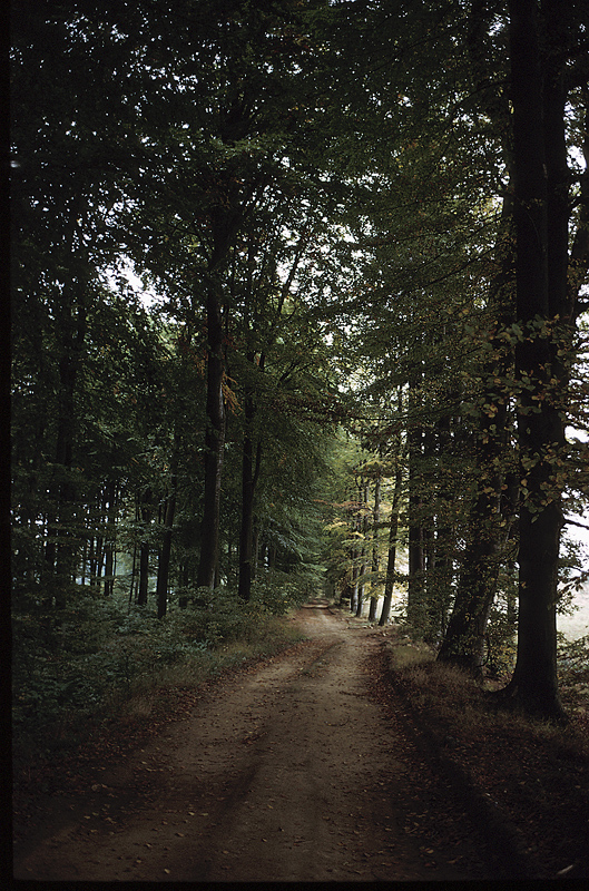 Two Whatcom County areas among 2,000 acres of land in conservation proposal - Vimarsana News