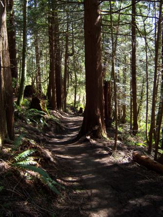 Whatcom County receives funding for recreation projects - Vimarsana News