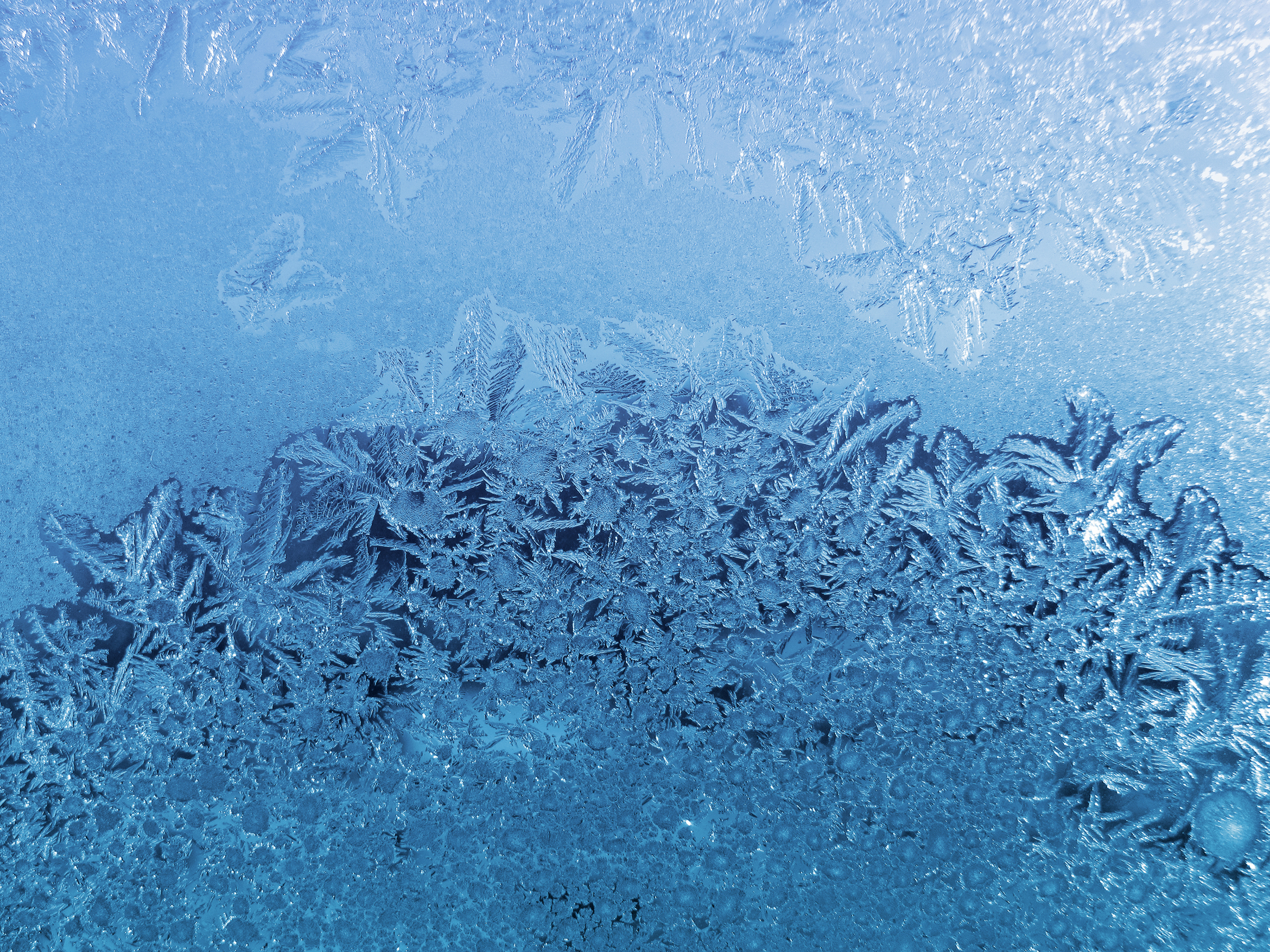 Winter weather shelters open daily this weekend during below freezing highs - Vimarsana News