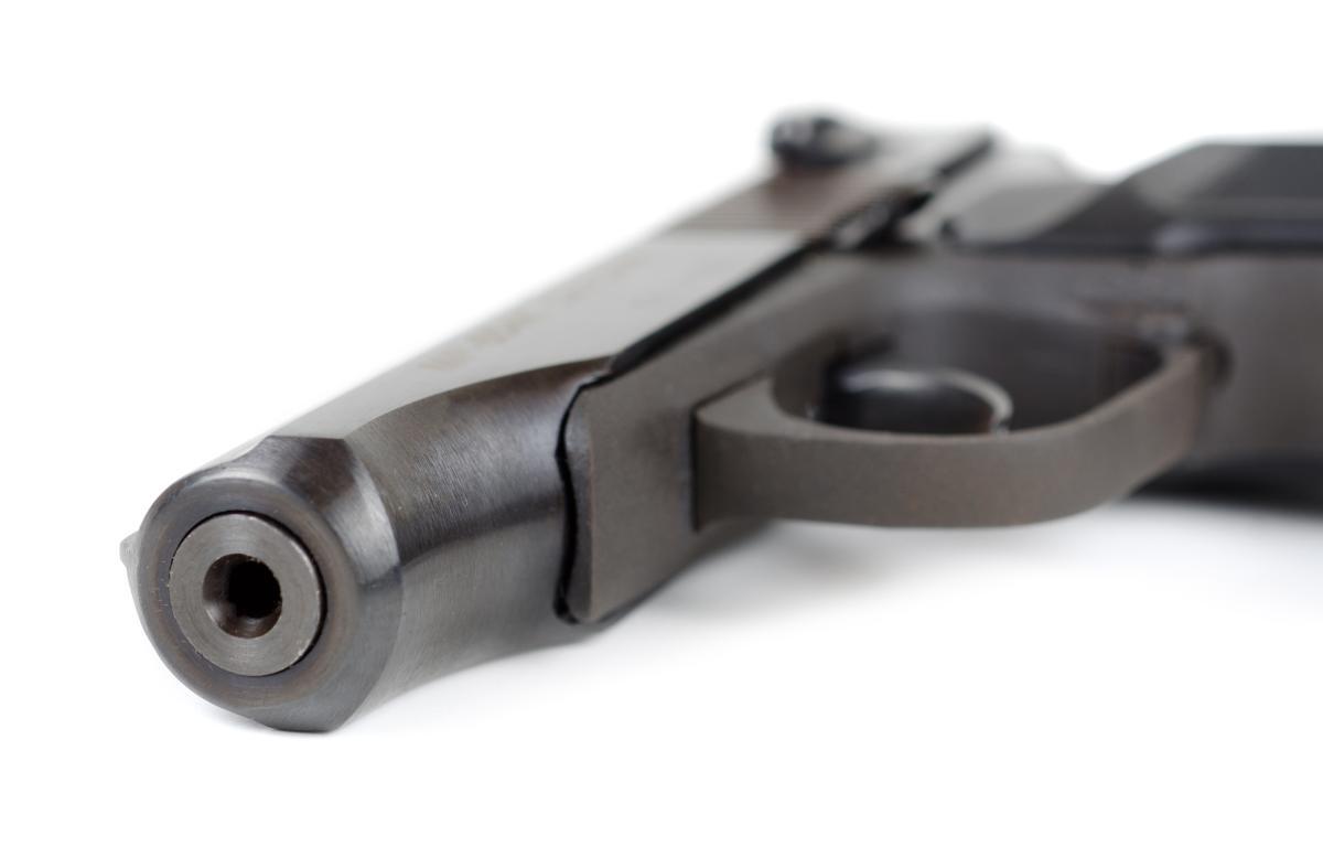 Sedro-Woolley man allegedly attempted to shoot elderly father - Vimarsana News