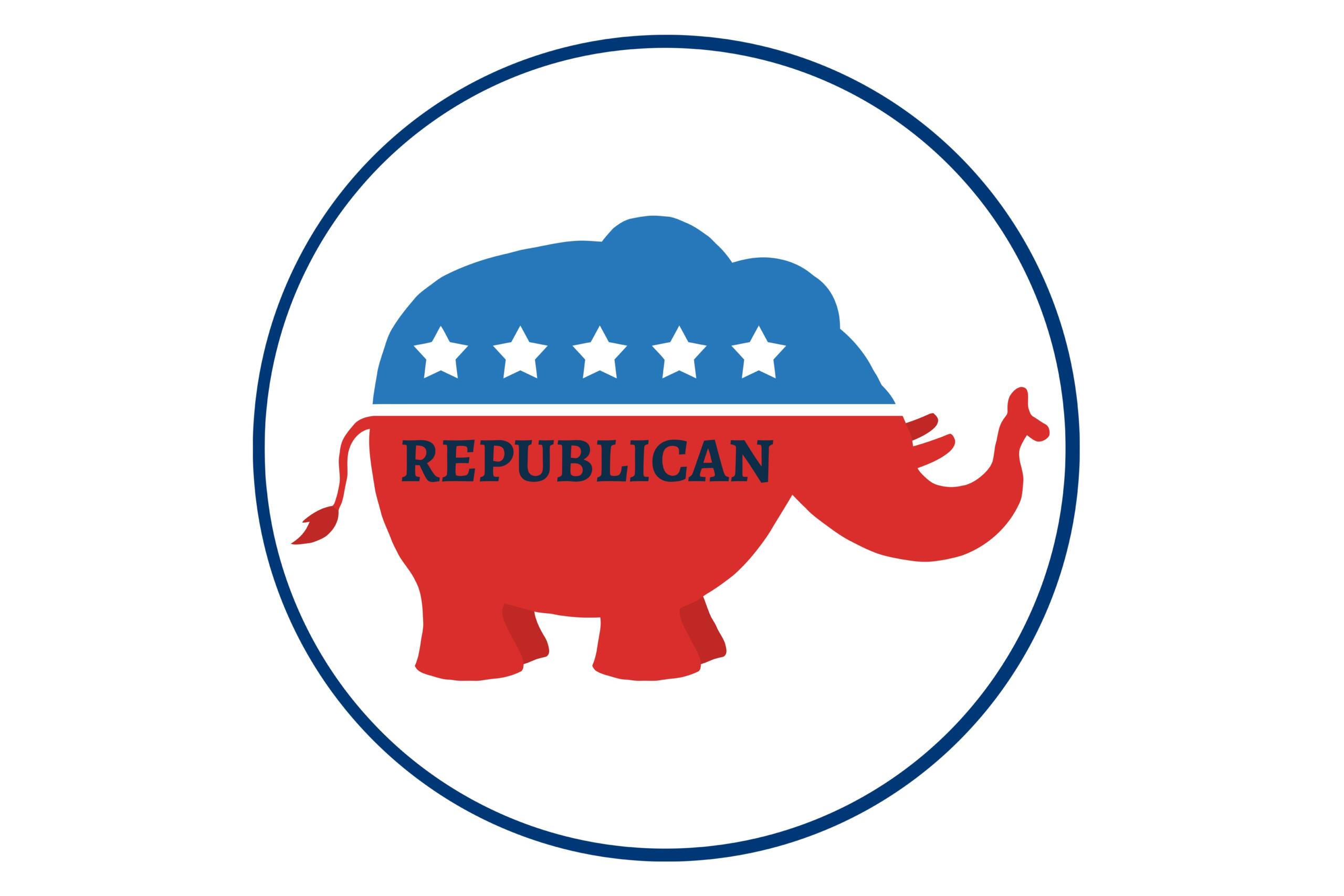 State Republicans elect new chair, endorse congressional candidate - Vimarsana News