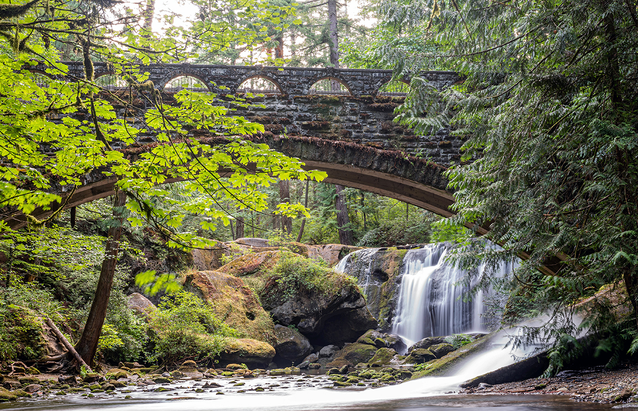 Climate Action Week set to kick off in Bellingham - Vimarsana News
