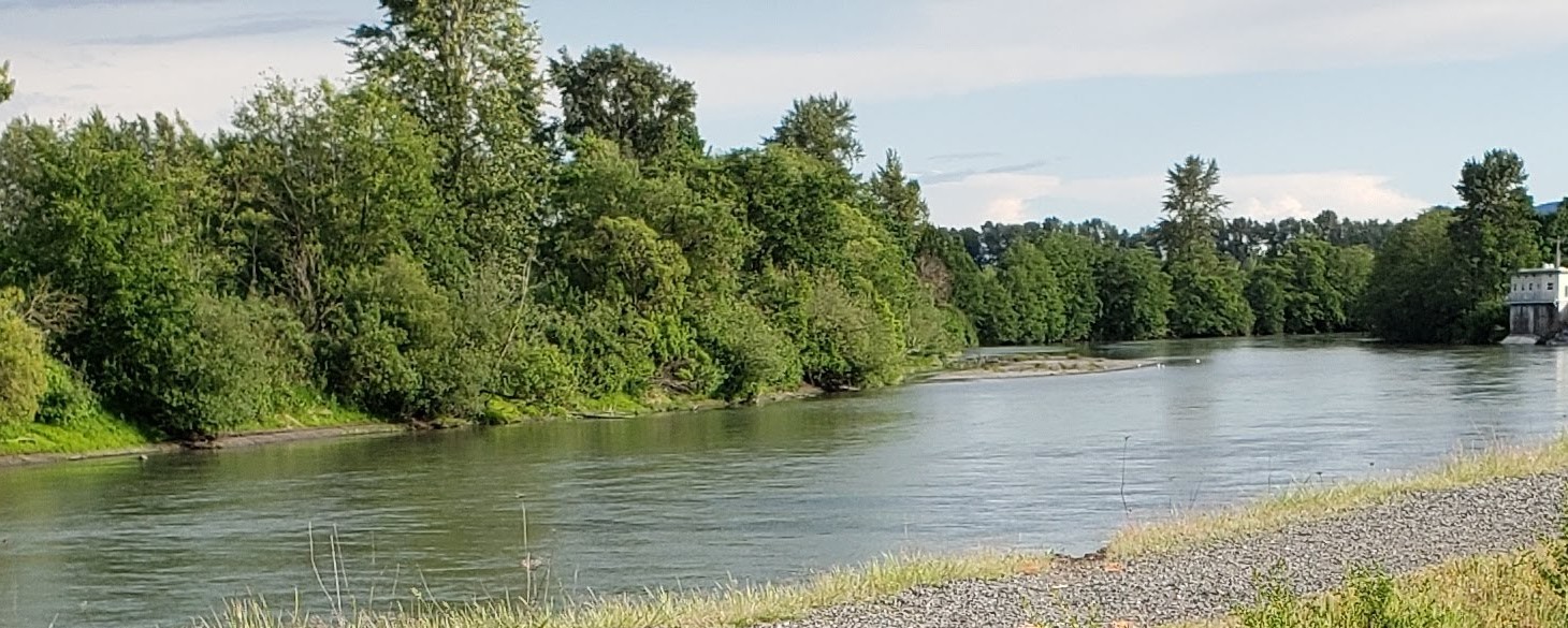 Ecology declares drought emergency for Whatcom and Skagit Counties - Vimarsana News