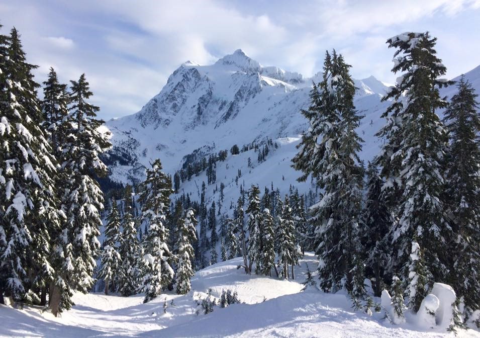Mount Baker Ski Area opening this week - Vimarsana News