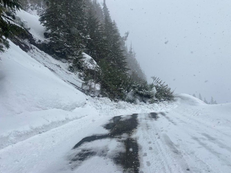 Landslide closes Mount Baker Highway near ski area - Vimarsana News
