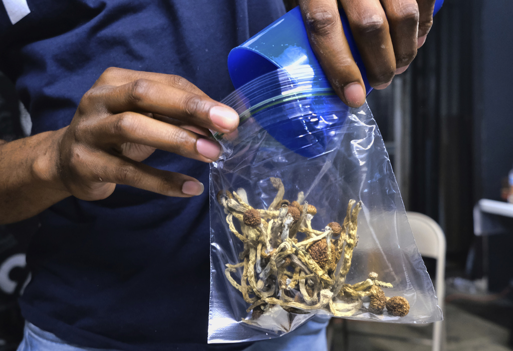 UW leading study on psychedelic mushrooms and cancer diagnoses - Vimarsana News