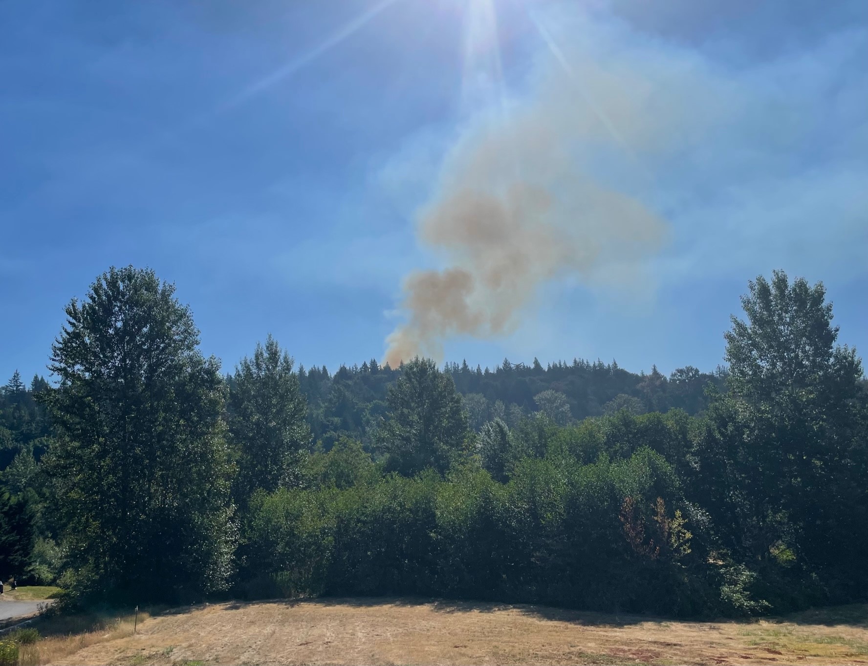 Crews battling fire on Galbraith Mountain in Bellingham - Vimarsana News