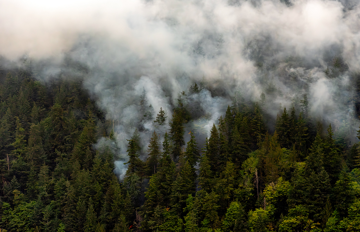 Blue Canyon Road, Lake Whatcom Park remain closed as crews battle wildfire - Vimarsana News