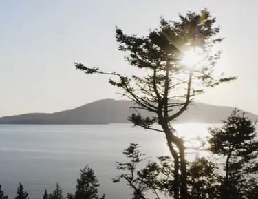 Owner donates Governors Point land to Whatcom Land Trust - Vimarsana News
