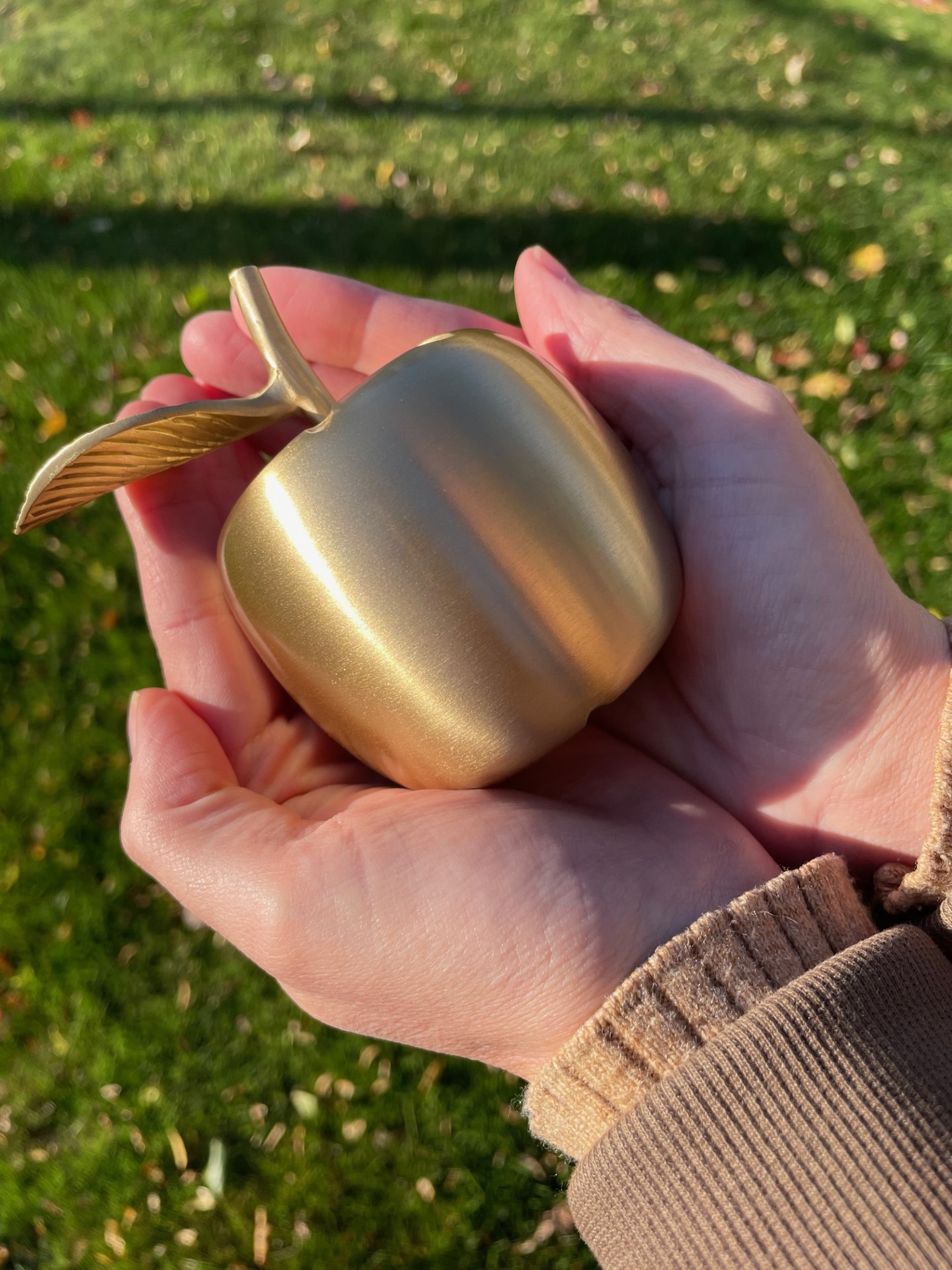 Ferndale educators to receive annual Golden Apple Educator Award - Vimarsana News