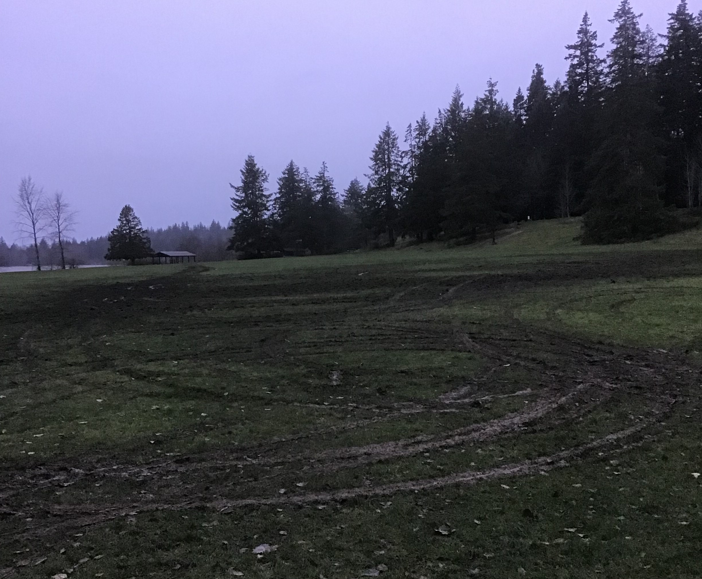 Driver damages lawn at Lake Padden Park - Vimarsana News