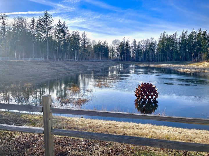Bellingham board selects "Northern Lights Park" name for future park, city still to decide - Vimarsana News