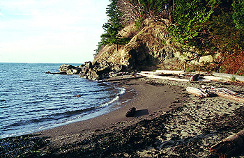 Man falls off cliff at Larrabee State Park