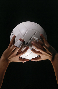 Whatcom County Volleyball squads place at State tournement Saturday