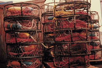 “Deadliest Catch” Captain Sig Hansen arrested in Seattle