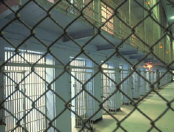 Wild Few Days Lands Whatcom County Man in Jail Wild Few Days Lands Whatcom County Man in Jail