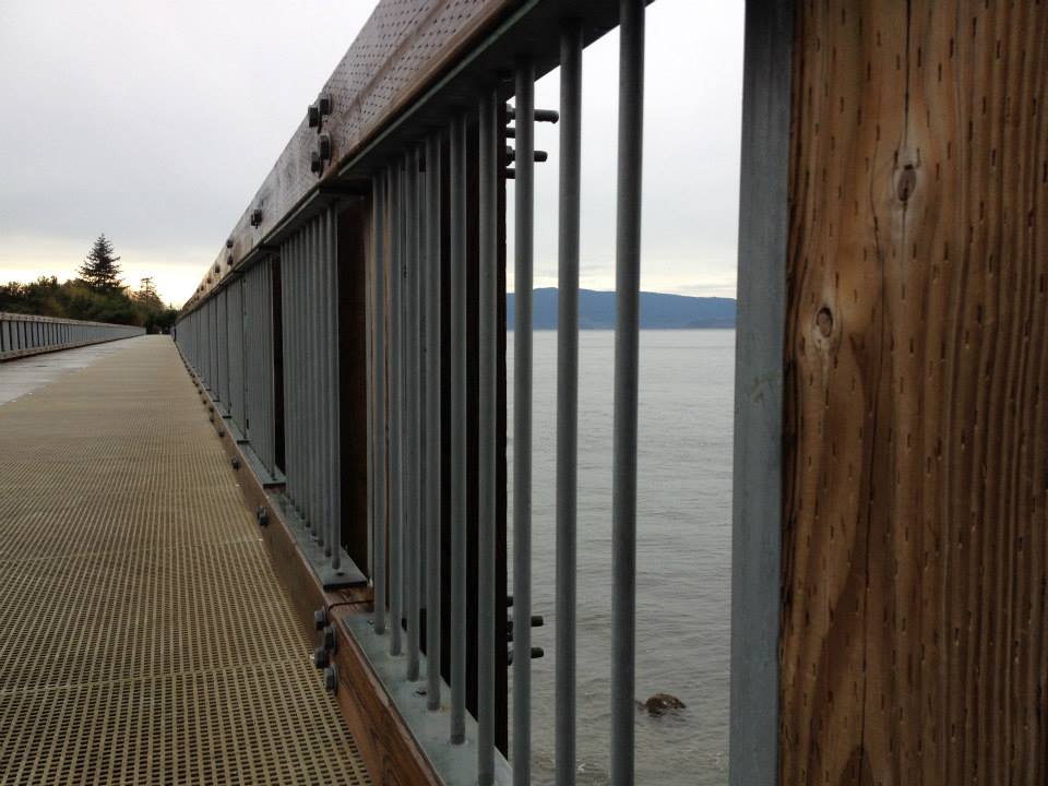 Man found dead in water near Taylor Dock in Bellingham Man found dead in water near Taylor Dock in Bellingham