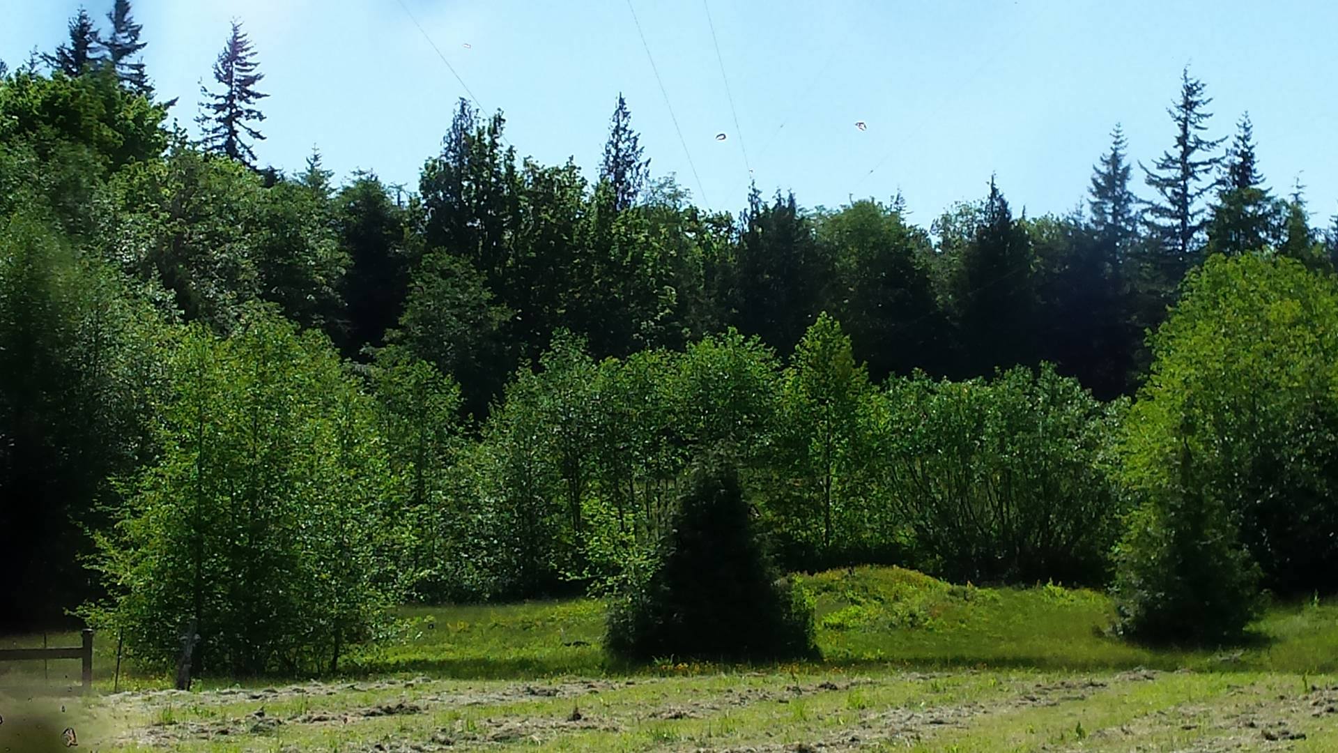 Out back of the station