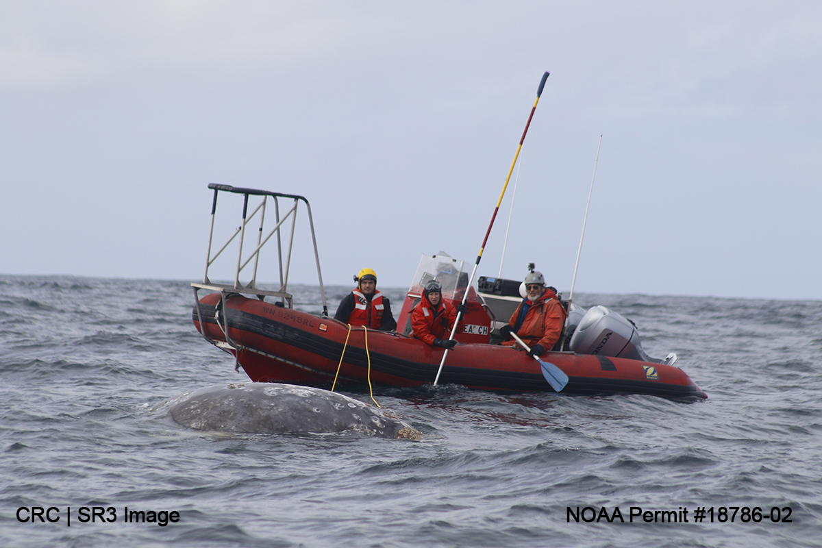 NOAA