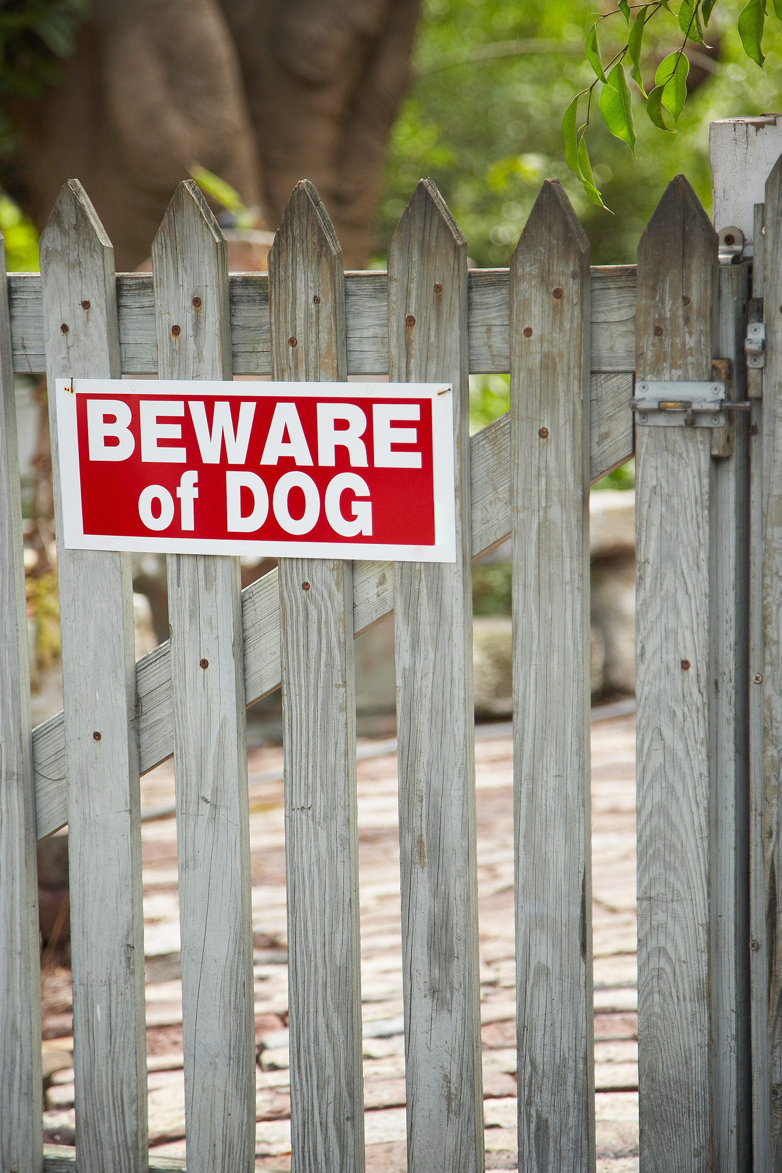 Jehovah’s Witnesses in Arlington viciously attacked by dog