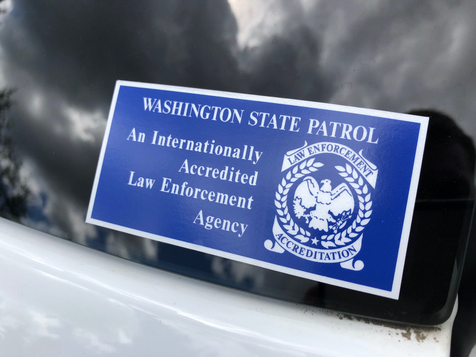 WSP Series 6-14-2018