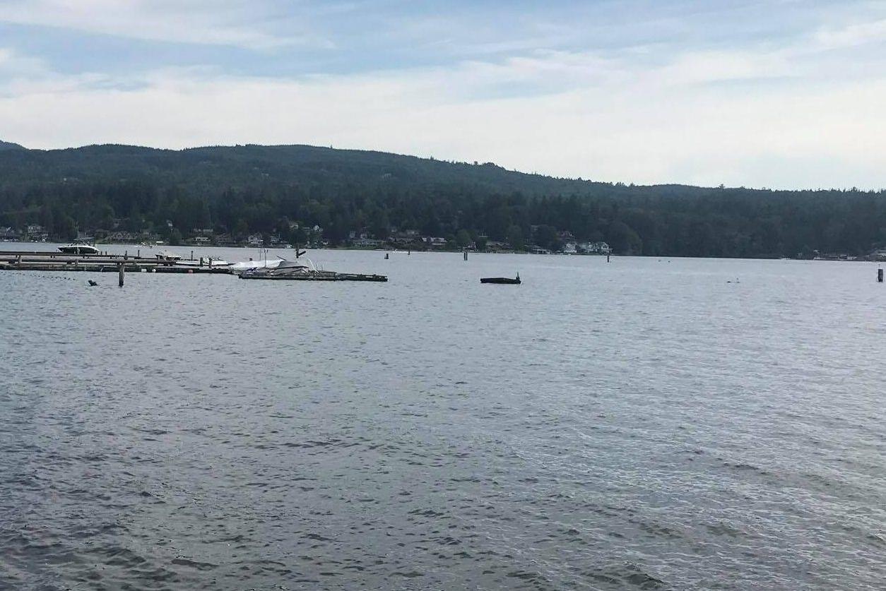 Protesters demonstrate outside Fircreek camp