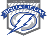 Mitchell, Westbrook and L-C St. fall in national semis