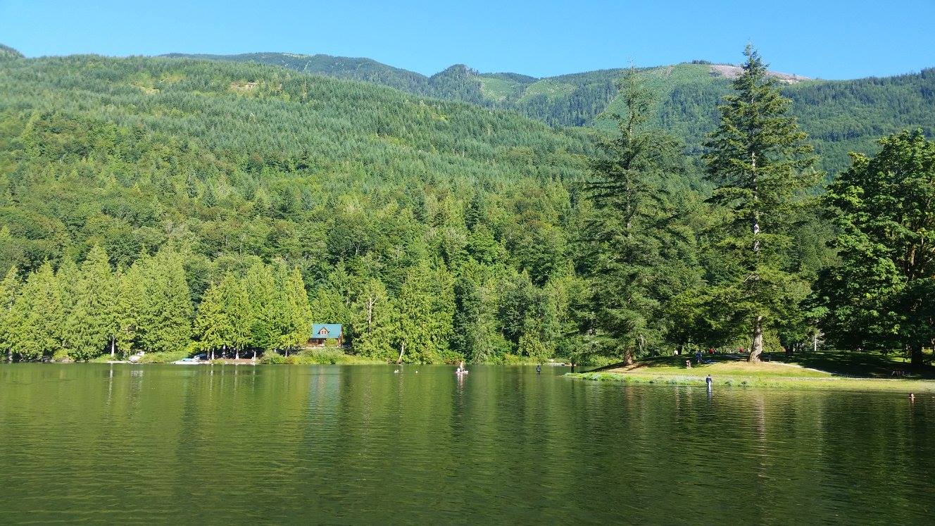 Wiser and Silver Lakes now safe for people and pets