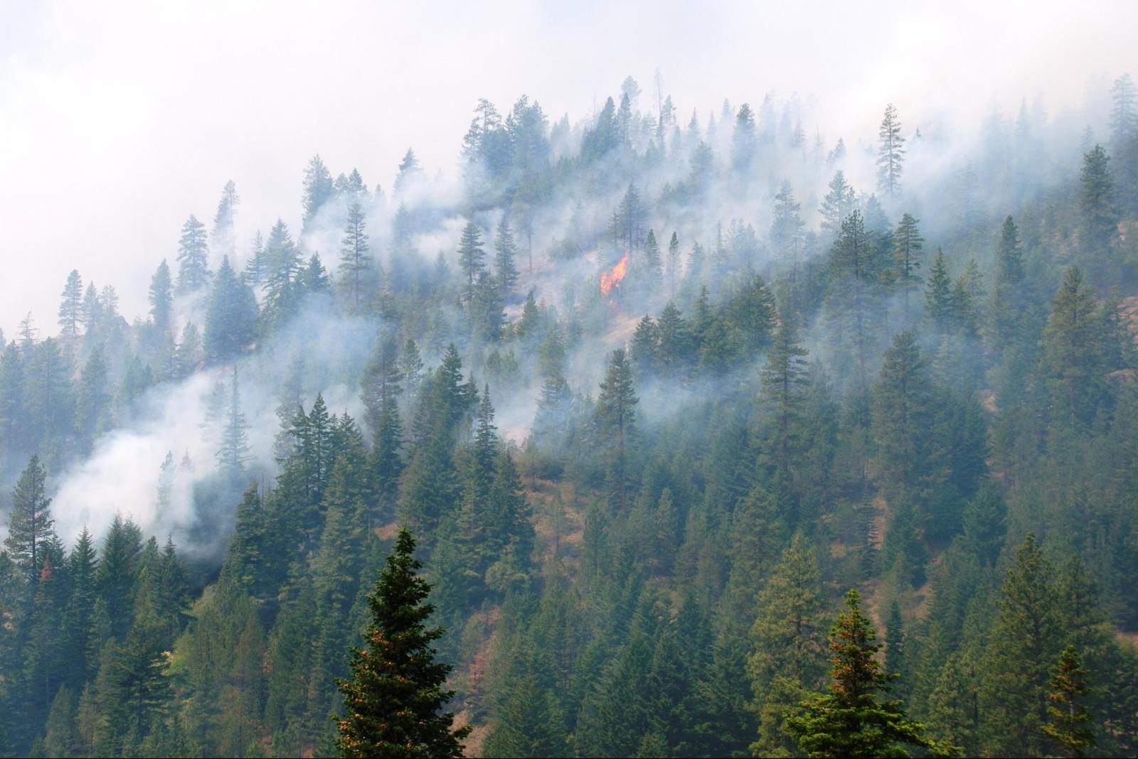 Drought Fire Rain welcome after record-breaking drought conditions and wildfire ...