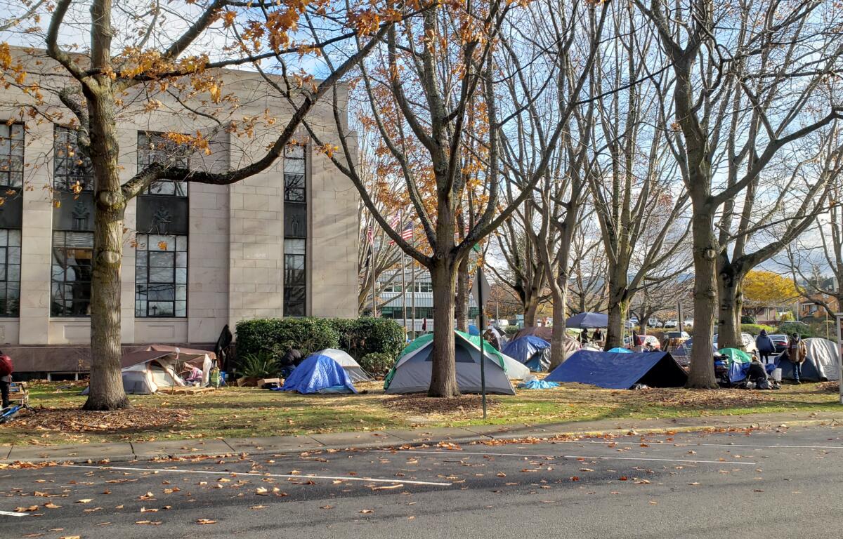 Homeless Bellingham City Hall