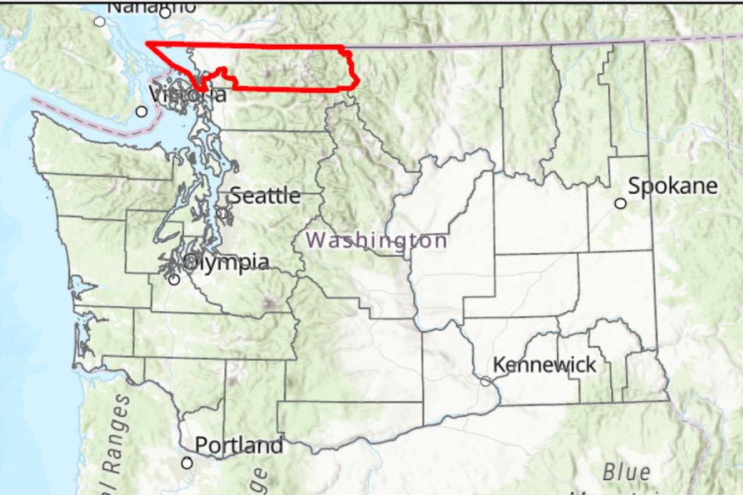 Election 2020: 42nd Legislative District