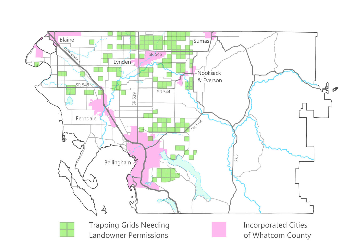 WSDA Seeks Help in Trapping Asian Giant Hornets