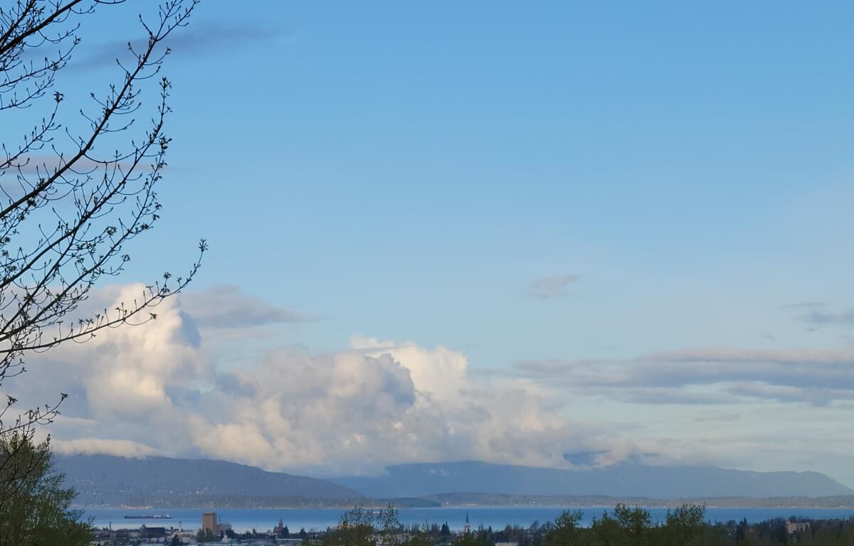 Bellingham and Lummi Island