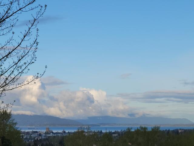 Bellingham and Lummi Island