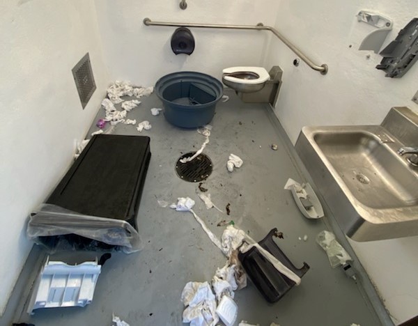 Ferndale Police seeking information after vandalism at Star Park