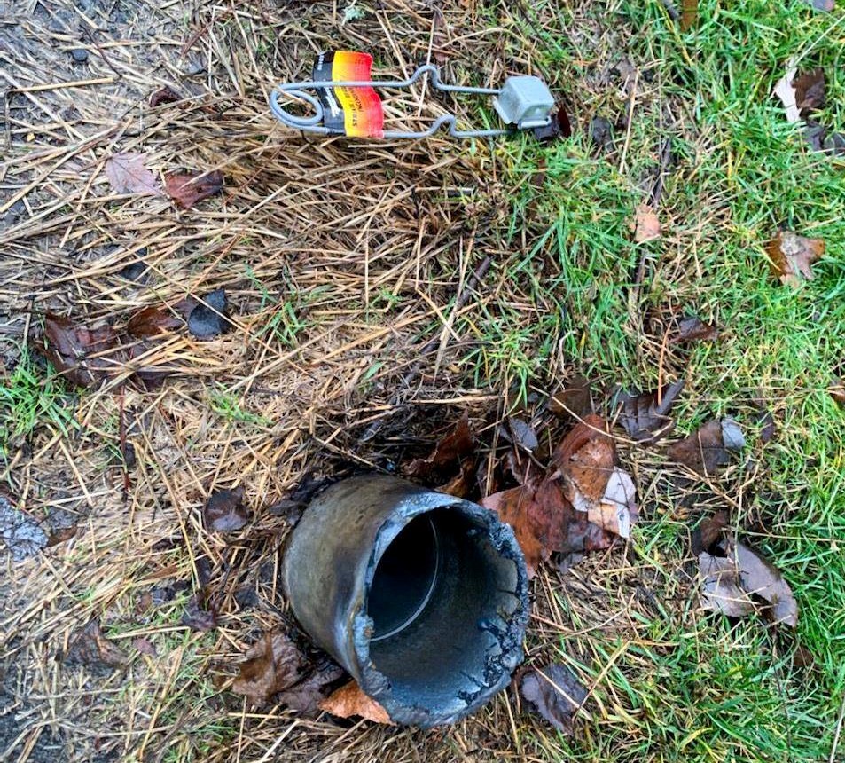 Thief steals basketball hoop from Bloedel Donovan Park