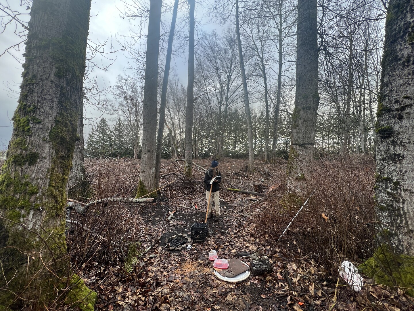 Work on new disc golf course near Bellis Fair is underway